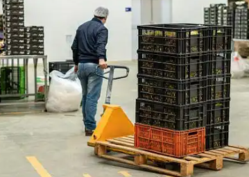 無錫水果批發(fā)市場(chǎng)商戶們用手動(dòng)液壓搬運(yùn)車搬運(yùn)貨物